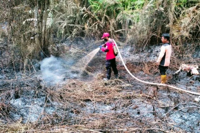 BMKG deteksi 101 titik panas di Kaltim BMKG deteksi 101 titik panas di Kaltim