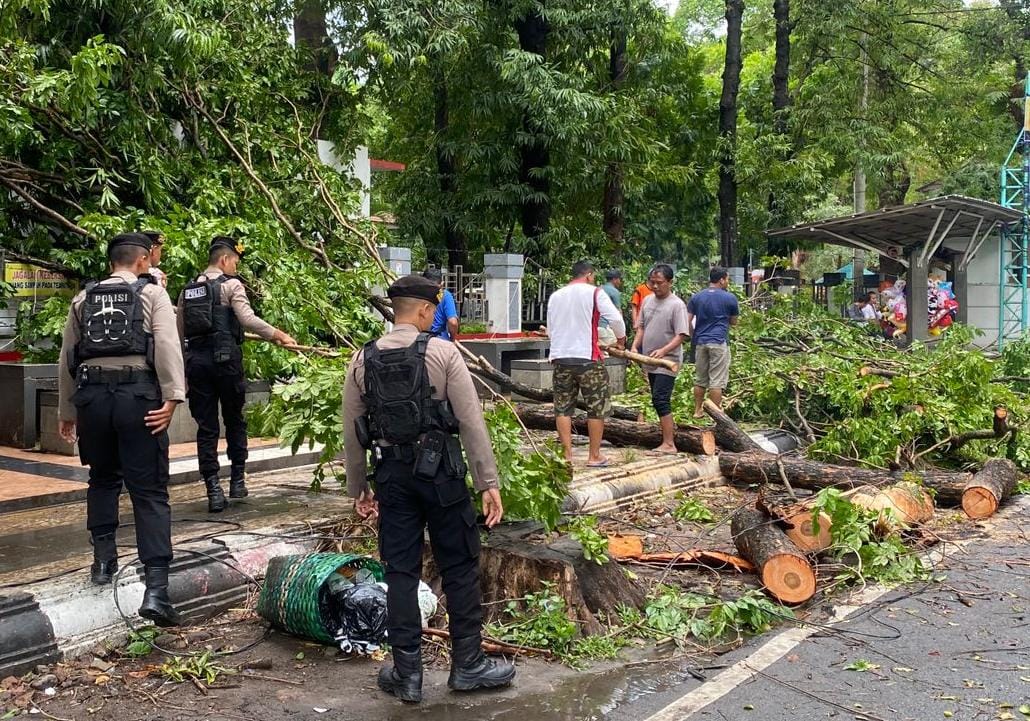 Hujan angin, empat atap rumah rusak dan puluhan pohon di Kudus tumbang