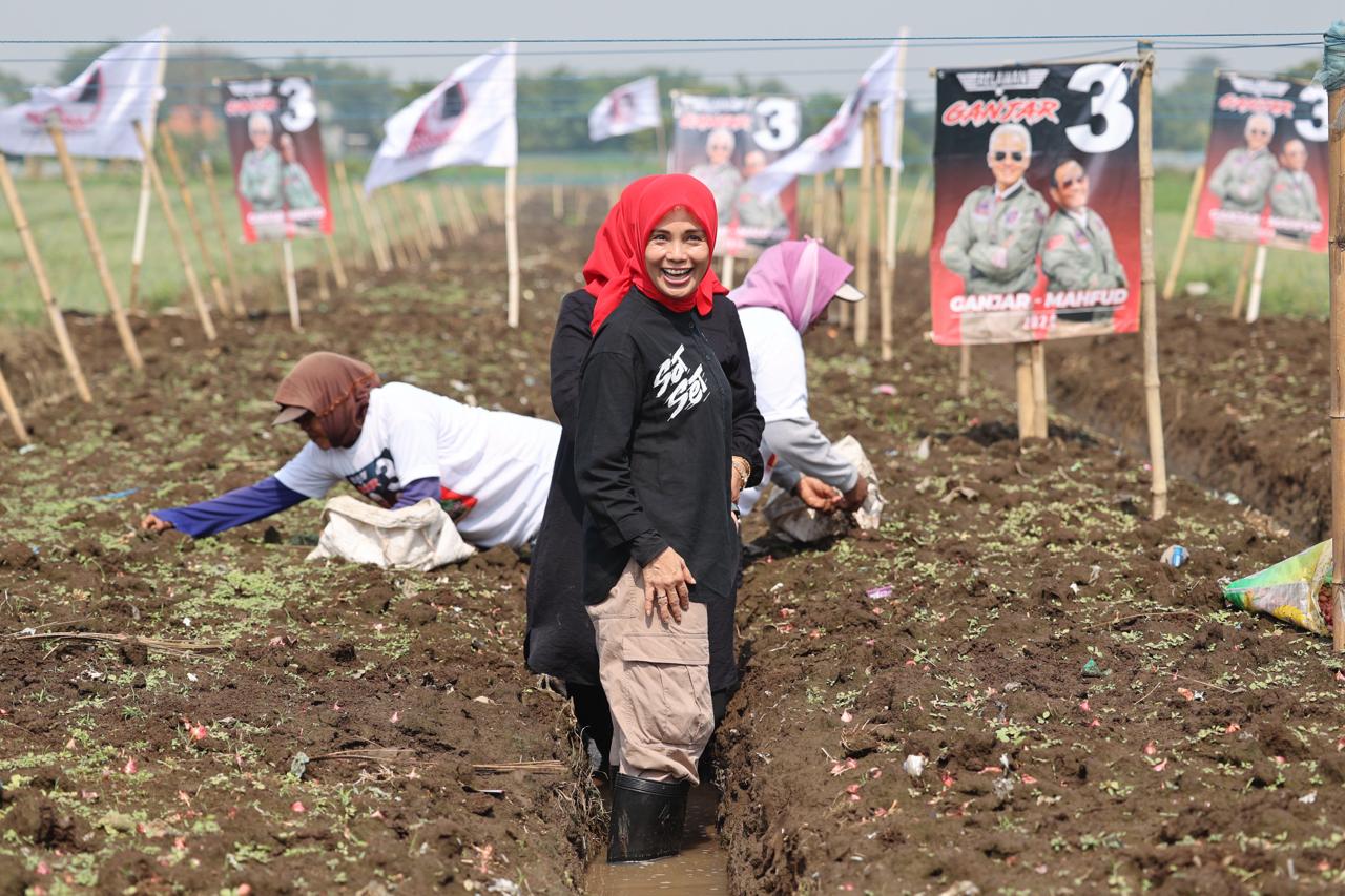 Atikoh Ganjar tanam bawang merah di Probolinggo, doakan petani sejahtera
