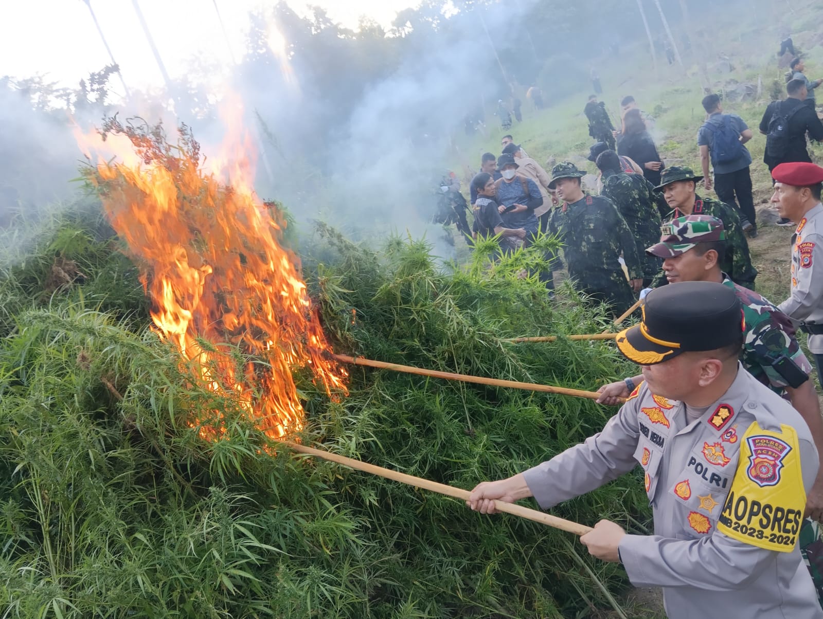 Kepala BNN RI bersama Forkopimda Aceh Utara musnahkan ladang ganja Kepala BNN RI bersama Forkopimda Aceh Utara musnahkan ladang ganja