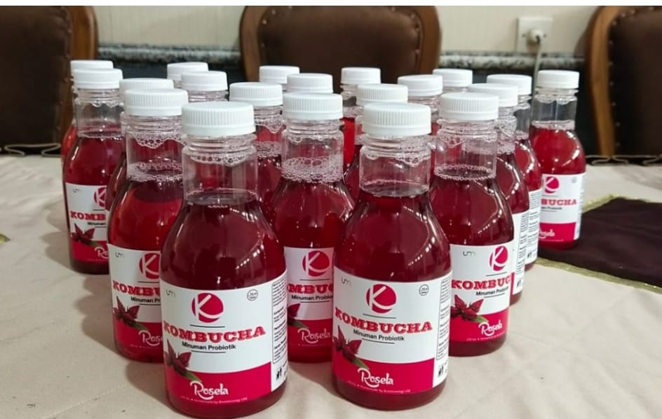 Kombucha rosela miliki potensi besar sebagai inovasi minuman fermentasi Kombucha rosela miliki potensi besar sebagai inovasi minuman fermentasi