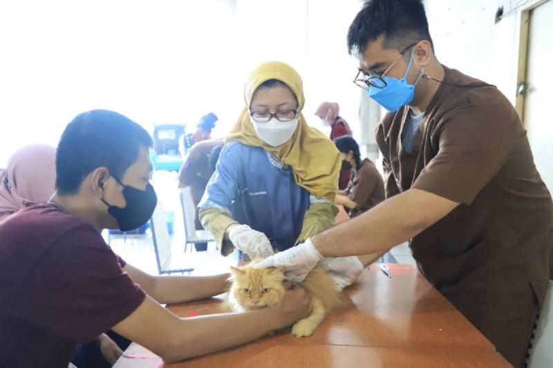 Warga Tangerang diimbau manfaatkan 21 rabies center jika digigit hewan Warga Tangerang diimbau manfaatkan 21 rabies center jika digigit hewan