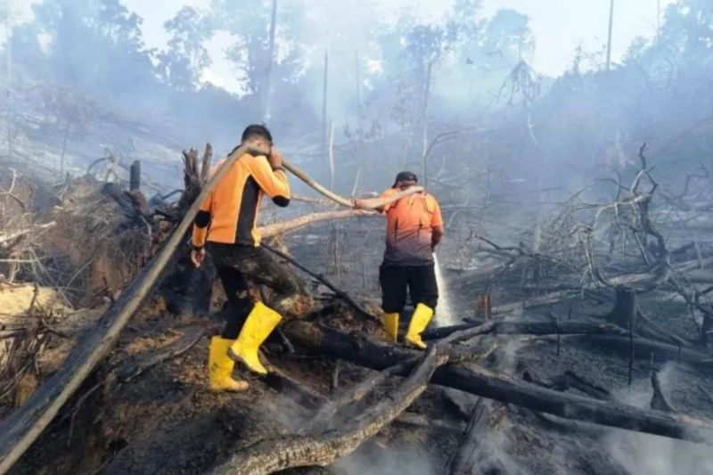 BMKG deteksi 19 titik panas di Kalimantan Timur BMKG deteksi 19 titik panas di Kalimantan Timur