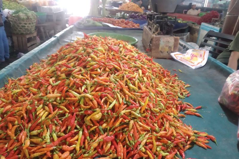 Disdag Mataram sebut harga cabai di sejumlah pasar turun jadi Rp40.000 per kilogram Disdag Mataram sebut harga cabai di sejumlah pasar turun jadi Rp40.000 per kilogram