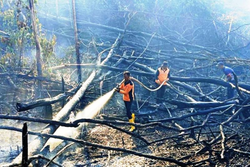 Titik panas di Kaltim turun menjadi 48