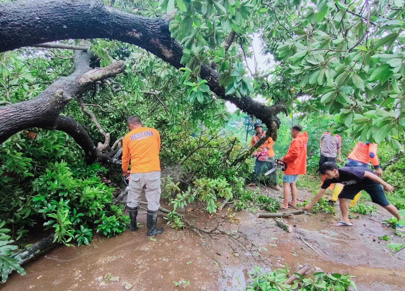 Angin kencang, 10 atap rumah warga Kudus rusak Angin kencang, 10 atap rumah warga Kudus rusak