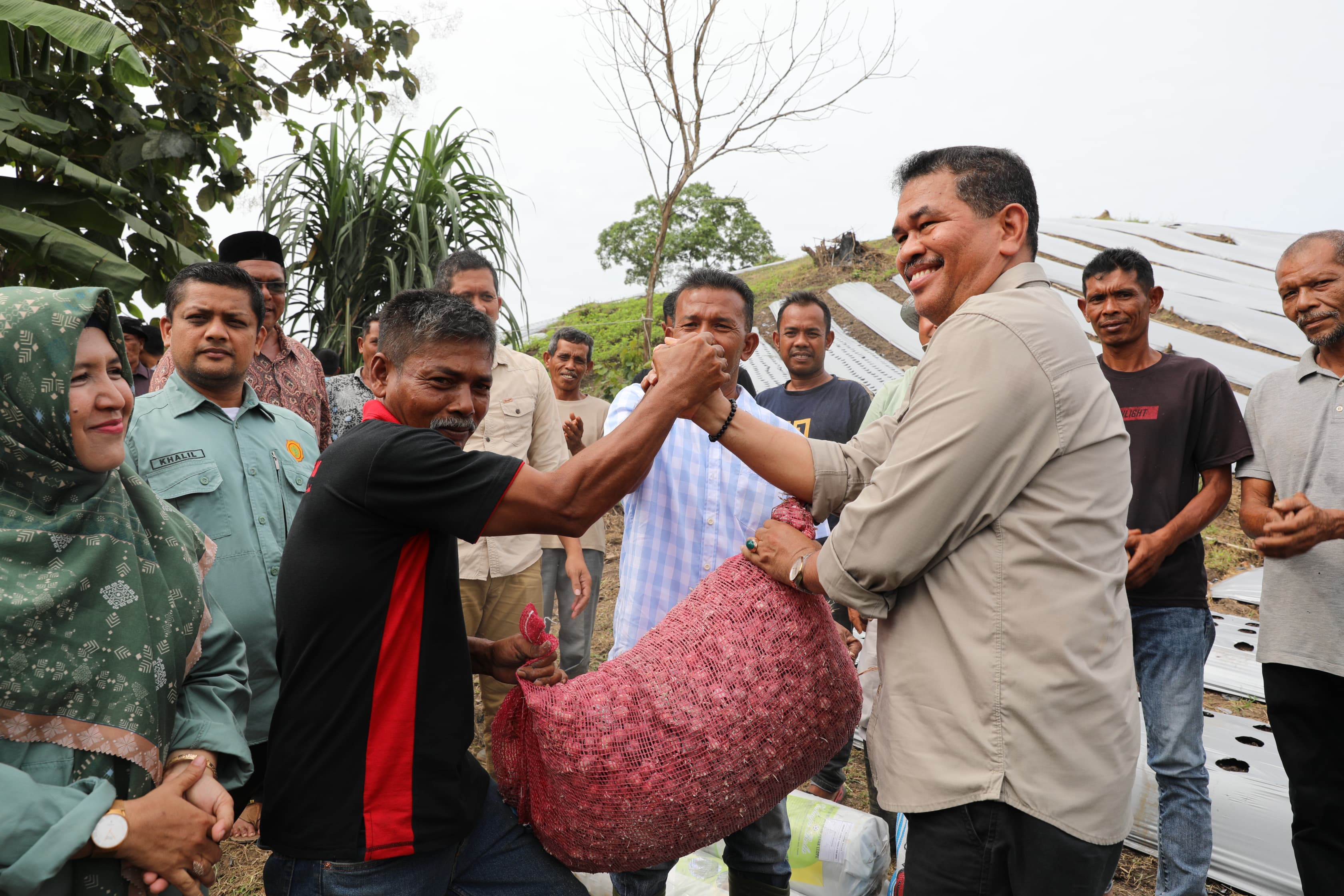 Pemko Lhokseumawe dorong kelompok tani Blang Buloh tanam 10 hektare bawang merah Pemko Lhokseumawe dorong kelompok tani Blang Buloh tanam 10 hektare bawang merah