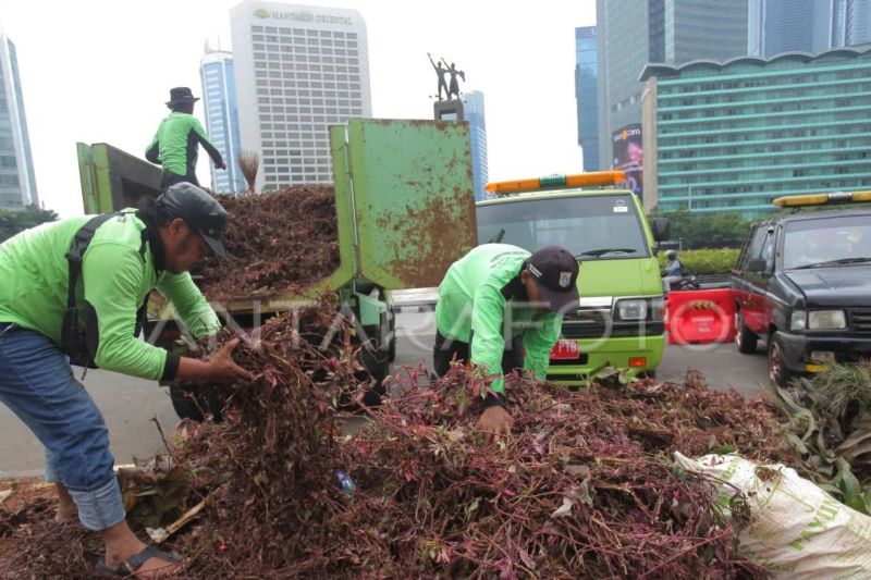 Perbaikan tanaman rusak di Bundaran HI terus berlangsung Perbaikan tanaman rusak di Bundaran HI terus berlangsung