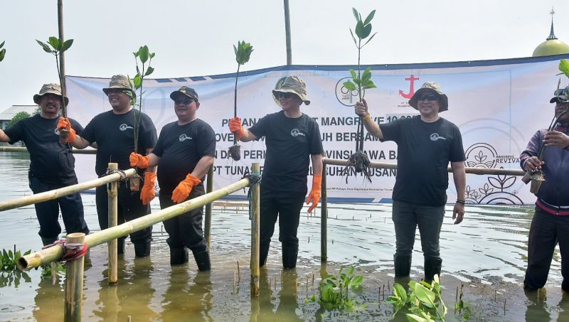 Pemprov Jabar tanam bakau pengganti pelabuhan di Bekasi