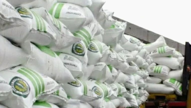 KTNA Karawang sebut pengurangan kuota pupuk subsidi khawatirkan petani