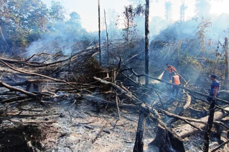 114 titik panas terdeteksi di Kalimantan Timur 114 titik panas terdeteksi di Kalimantan Timur