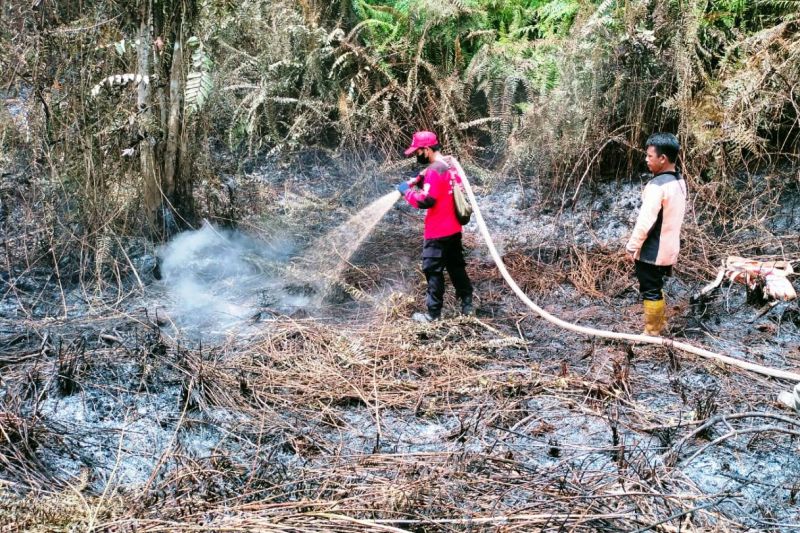 Menurut BMKG jumlah titik panas di Kaltim turun secara signifikan