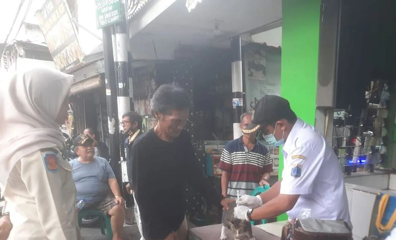 Vaksinasi rabies di Jakbar tahun 2023 lampaui target Vaksinasi rabies di Jakbar tahun 2023 lampaui target