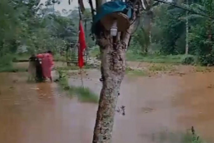 Sejumlah rumah dan lahan pertanian serta tambak di Sukabumi terendam banjir Sejumlah rumah dan lahan pertanian serta tambak di Sukabumi terendam banjir