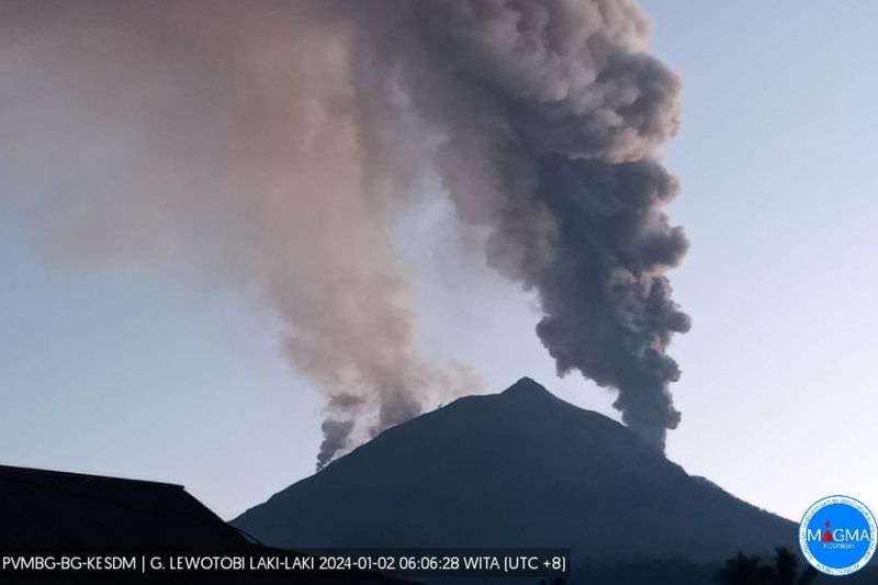 1.172 warga di Kecamatan Wulanggitang Flores Timur terdampak erupsi 1.172 warga di Kecamatan Wulanggitang Flores Timur terdampak erupsi