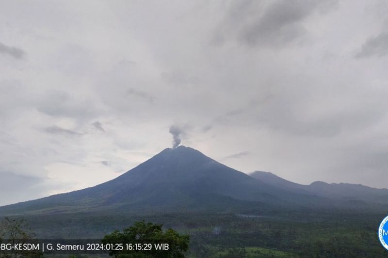 BPBD laporkan Gunung Semeru erupsi setiap hari selama beberapa hari terakhir