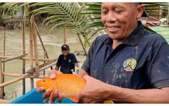 Warga binaan Rutan Kelas I Medan panen ikan Warga binaan Rutan Kelas I Medan panen ikan