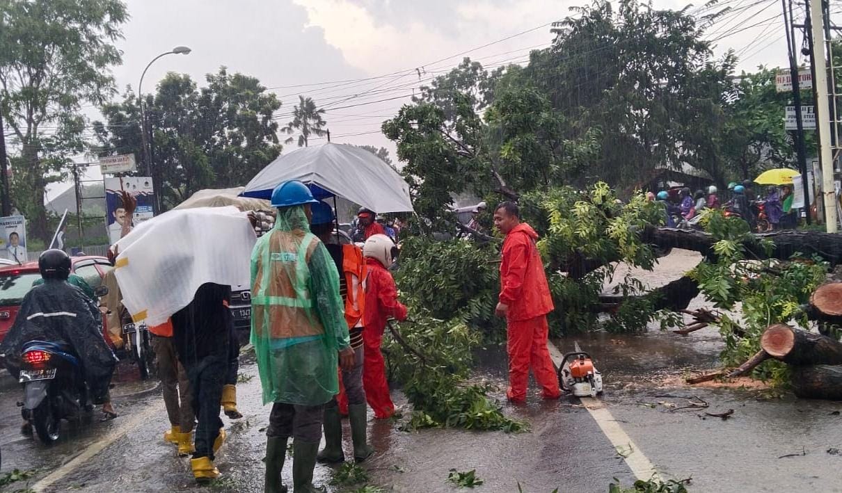 Gedung Perpustakaan IAIN Kudus rusak dan belasan pohon tumbang diterjang angin kencang Gedung Perpustakaan IAIN Kudus rusak dan belasan pohon tumbang diterjang angin kencang