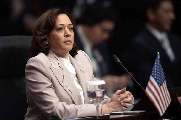 Kamala Harris nyatakan siap calonkan diri dalam pemilu presiden AS