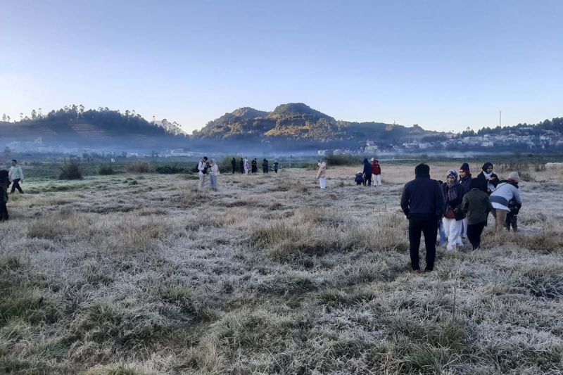 Kompleks Candi Arjuna Dieng kembali diselimuti embun beku Kompleks Candi Arjuna Dieng kembali diselimuti embun beku