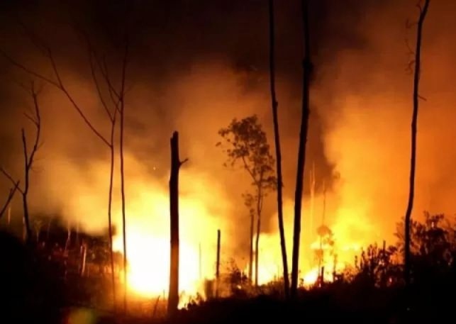 Kebakaran besar landa California, lahap 350 ribu hektar lahan
