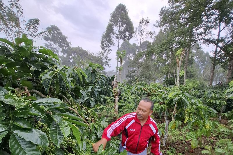 Pemprov Lampung: Nilai transaksi ekonomi KTH di 2023 Rp234,7 miliar Pemprov Lampung: Nilai transaksi ekonomi KTH di 2023 Rp234,7 miliar