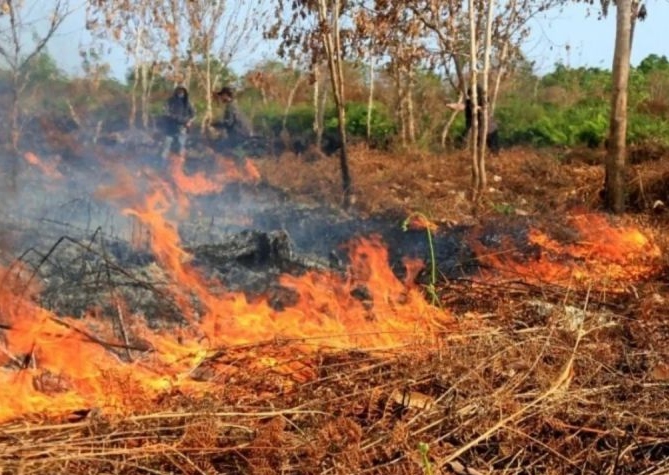 BMKG: Waspadai suhu panas maksimum 36 derajat Celcius di Aceh-NTB