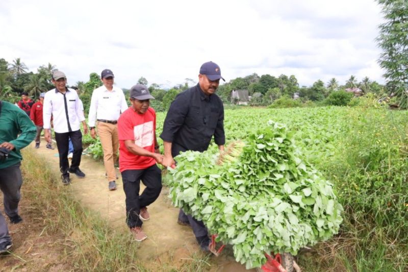 Bupati Kukar sebut bertani tidak harus berlumur lumpur Bupati Kukar sebut bertani tidak harus berlumur lumpur