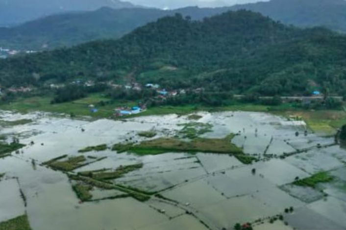 BPBD catat 400 hektare sawah terendam akibat luapan Sungai Aworeka