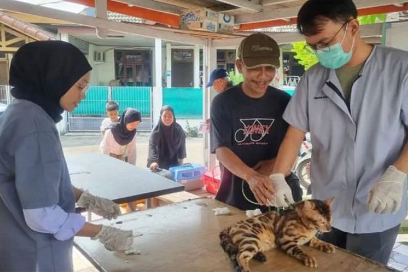 Dinkes Tangerang sediakan vaksinasi rabies secara gratis Dinkes Tangerang sediakan vaksinasi rabies secara gratis