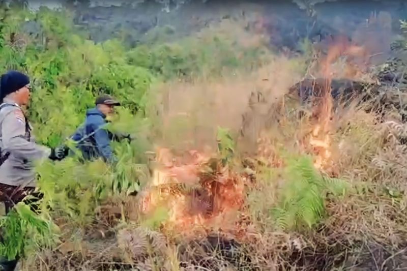 Petugas gabungan berhasil padamkan kebakaran di Lereng Arjuno Petugas gabungan berhasil padamkan kebakaran di Lereng Arjuno