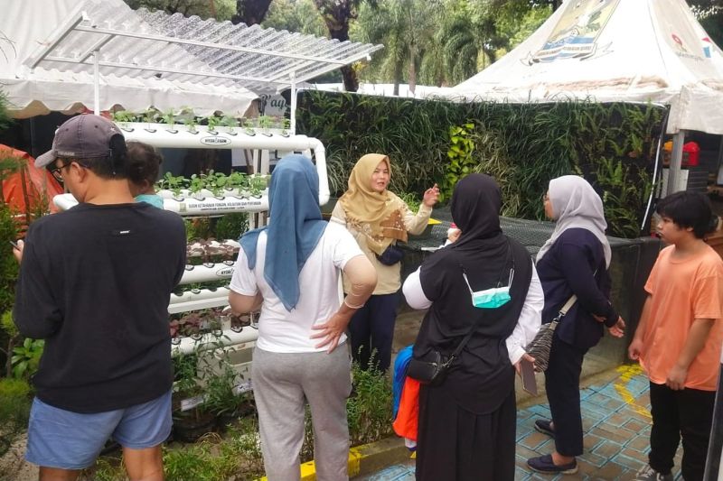 Pemkab Kepulauan Seribu edukasi warga bertanam hidroponik dan toga Pemkab Kepulauan Seribu edukasi warga bertanam hidroponik dan toga