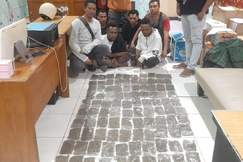 Direktorat Narkoba Polda Papua sita 394 paket ganja asal PNG Direktorat Narkoba Polda Papua sita 394 paket ganja asal PNG