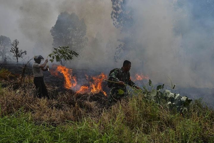 Petugas padamkan karhutla pada tiga daerah di Riau 