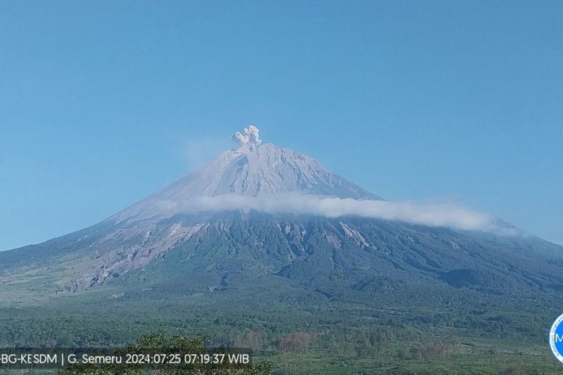 Gunung Semeru erupsi lontarkan abu vulkanik setinggi 900 meter Gunung Semeru erupsi lontarkan abu vulkanik setinggi 900 meter