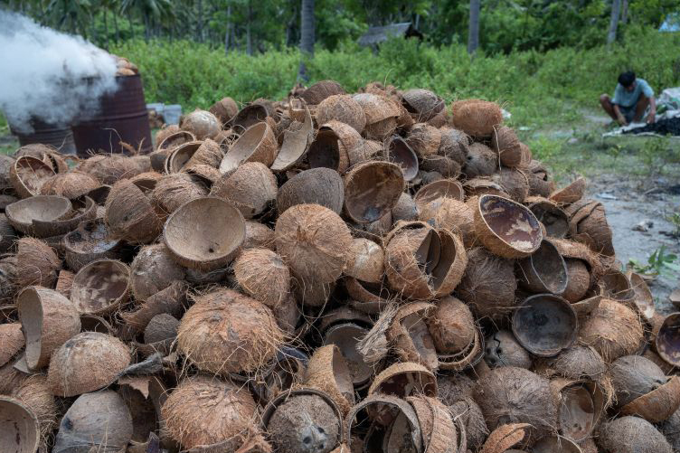 Tak ada yang terbuang dari kelapa di Desa Trenten Jawa Tengah
