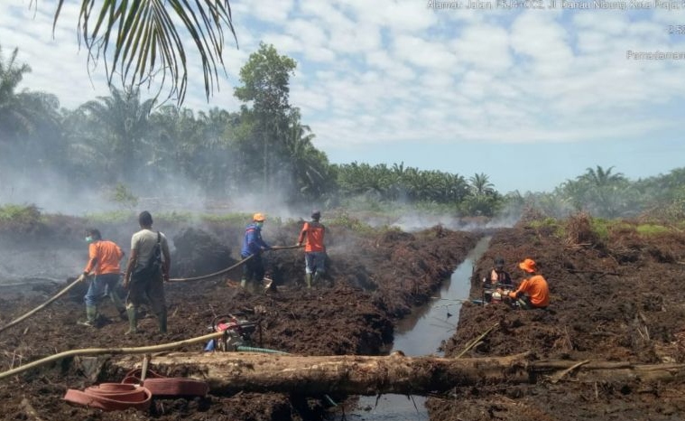 Tim gabungan padamkan kebakaran lahan di Mukomuko