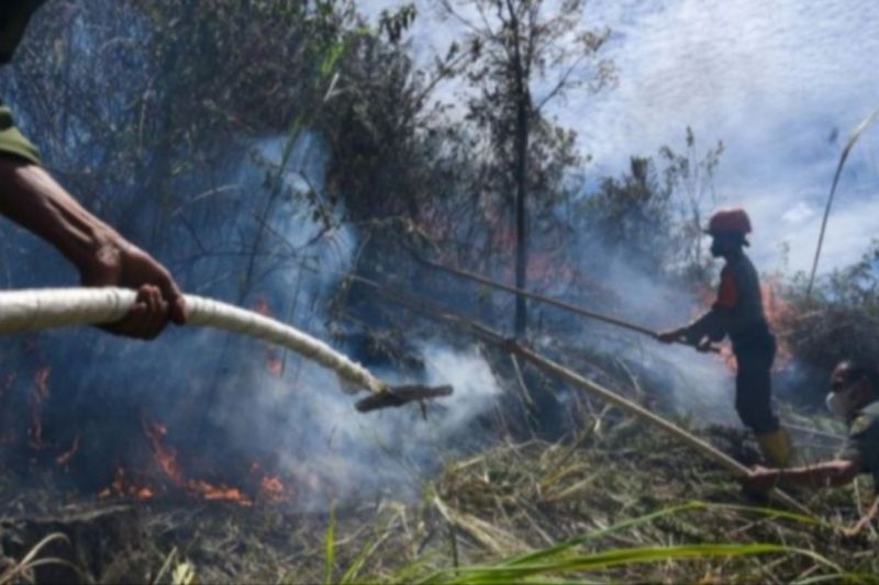 BMKG: Hotspot di Sumut turun jadi 53 titik BMKG: Hotspot di Sumut turun jadi 53 titik