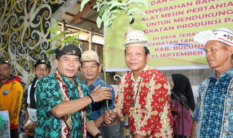 Pemprov Kaltara berupaya tingkatkan produksi pangan dukung IKN Pemprov Kaltara berupaya tingkatkan produksi pangan dukung IKN