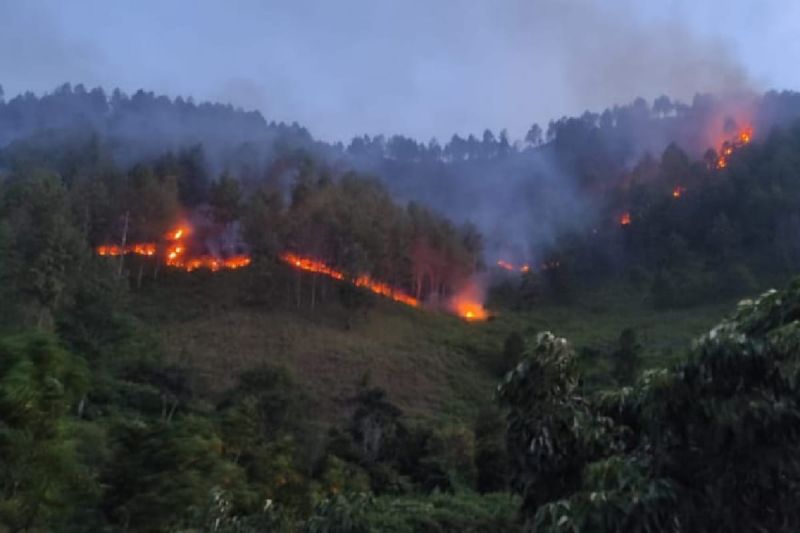 Tim gabungan padamkan kebakaran hutan di Samosir Tim gabungan padamkan kebakaran hutan di Samosir