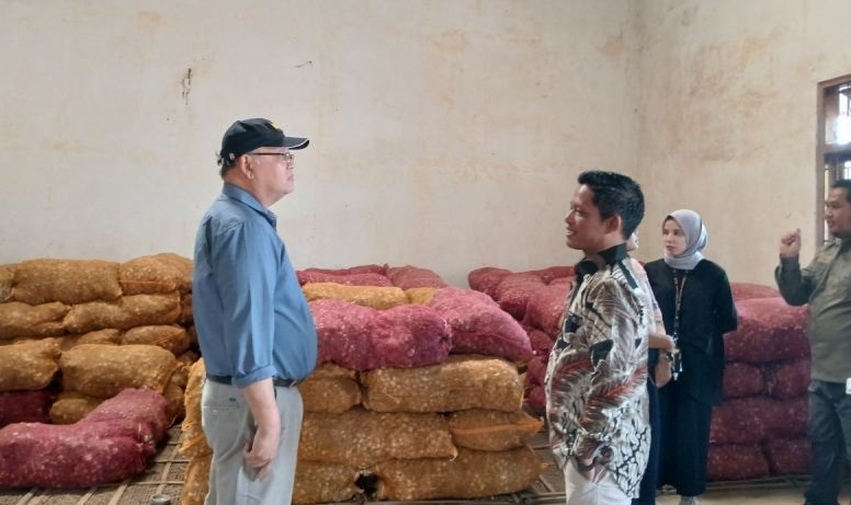 Kelompok tani Temanggung rasakan manfaat program food estate Kelompok tani Temanggung rasakan manfaat program food estate