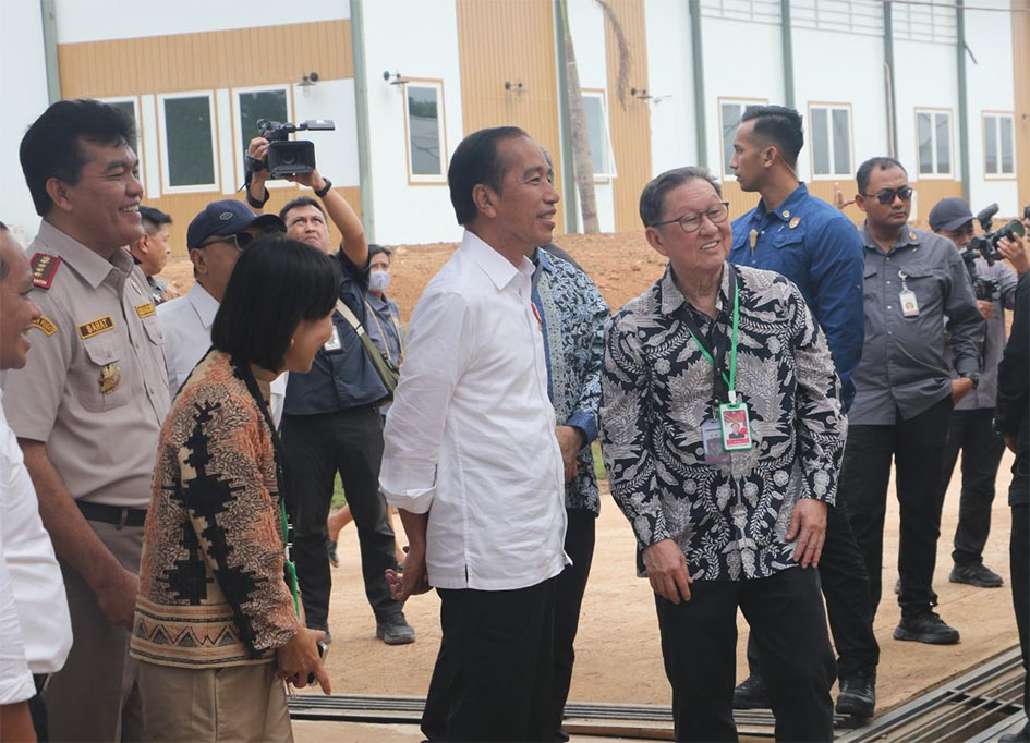 Jokowi tinjau instalasi karantina 1,9 juta bibit tebu di Merauke