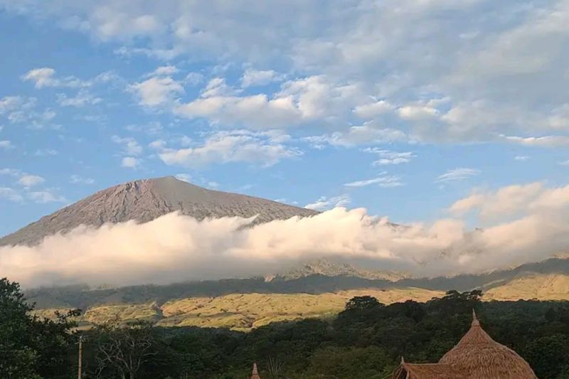 TNGR turunkan tim padamkan kebakaran lahan di kawasan Rinjani TNGR turunkan tim padamkan kebakaran lahan di kawasan Rinjani