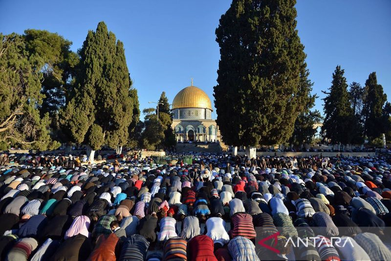 Warga Gaza laksanakan Idul Adha di tengah reruntuhan Warga Gaza laksanakan Idul Adha di tengah reruntuhan