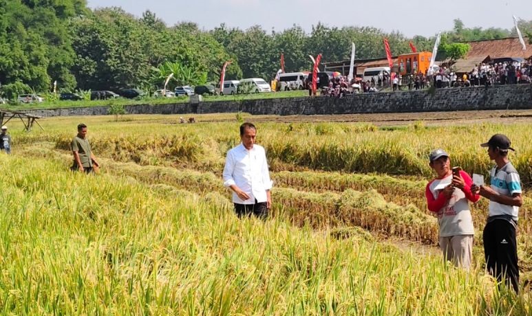 Presiden tinjau pompanisasi di Desa Krendowahono Karanganyar Presiden tinjau pompanisasi di Desa Krendowahono Karanganyar