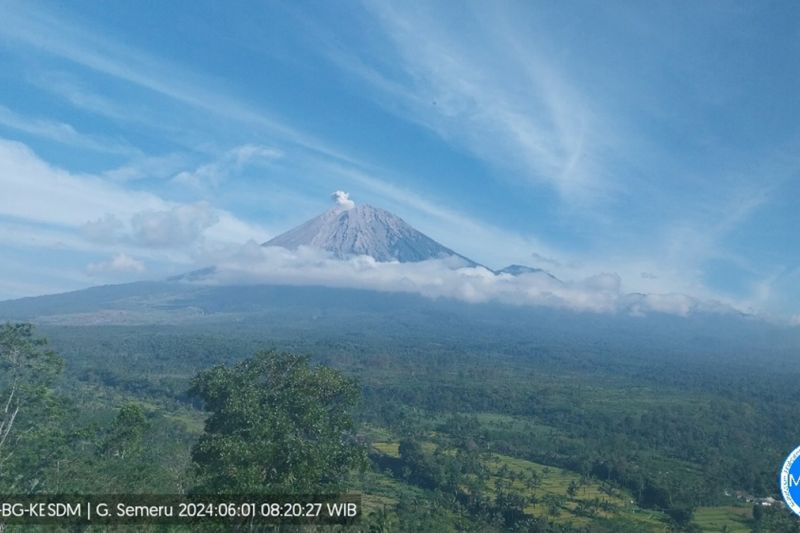 Gunung Semeru erupsi terus menerus sebanyak delapan kali Gunung Semeru erupsi terus menerus sebanyak delapan kali