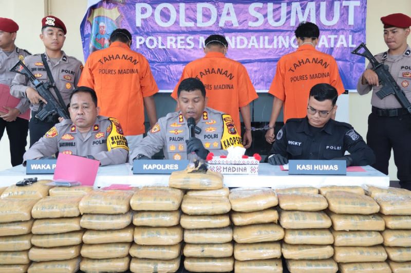 Tiga kurir 110 kilogram ganja berhasil ditangkap polisi Tiga kurir 110 kilogram ganja berhasil ditangkap polisi