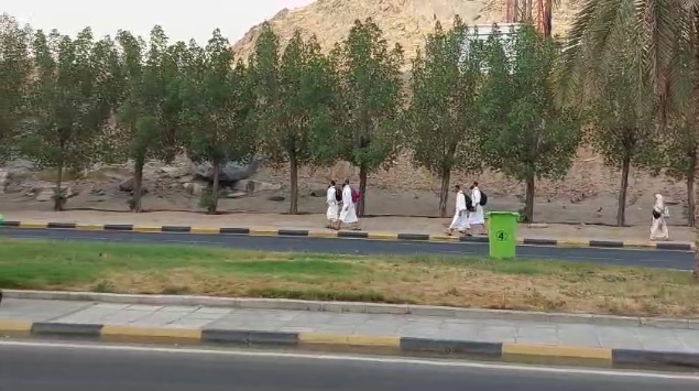 Kemenag Usahakan Bahan Baku dan Bumbu Guna Penuhi Konsumsi Jemaah Kemenag Usahakan Bahan Baku dan Bumbu Guna Penuhi Konsumsi Jemaah