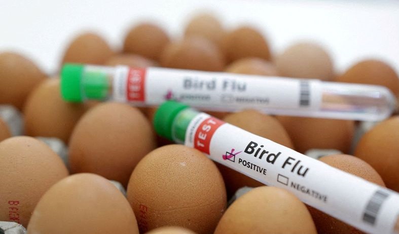 Pakar sarankan One Health untuk merespons kematian manusia akibat H5N2 Pakar sarankan One Health untuk merespons kematian manusia akibat H5N2