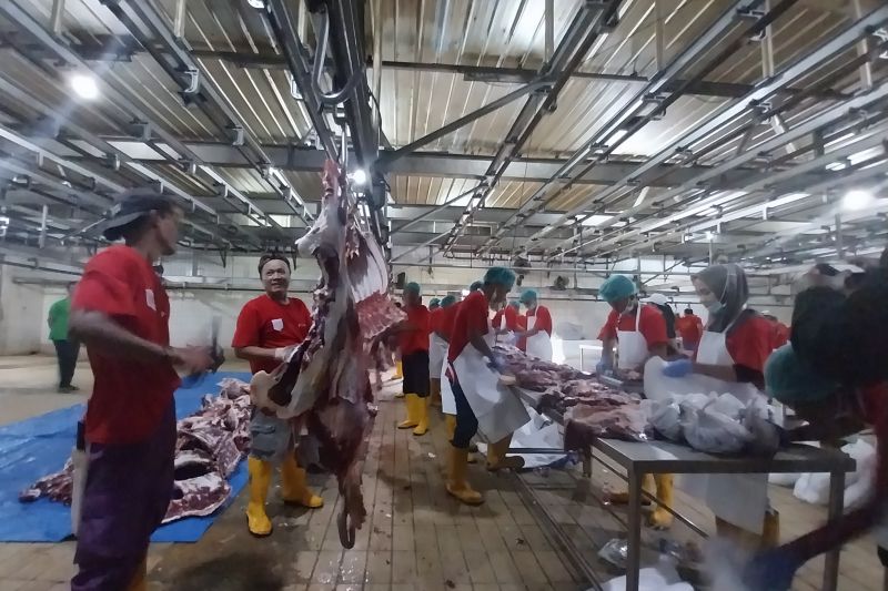 Dharma Jaya rekrut puluhan warga bantu sediakan daging hewan kurban Dharma Jaya rekrut puluhan warga bantu sediakan daging hewan kurban
